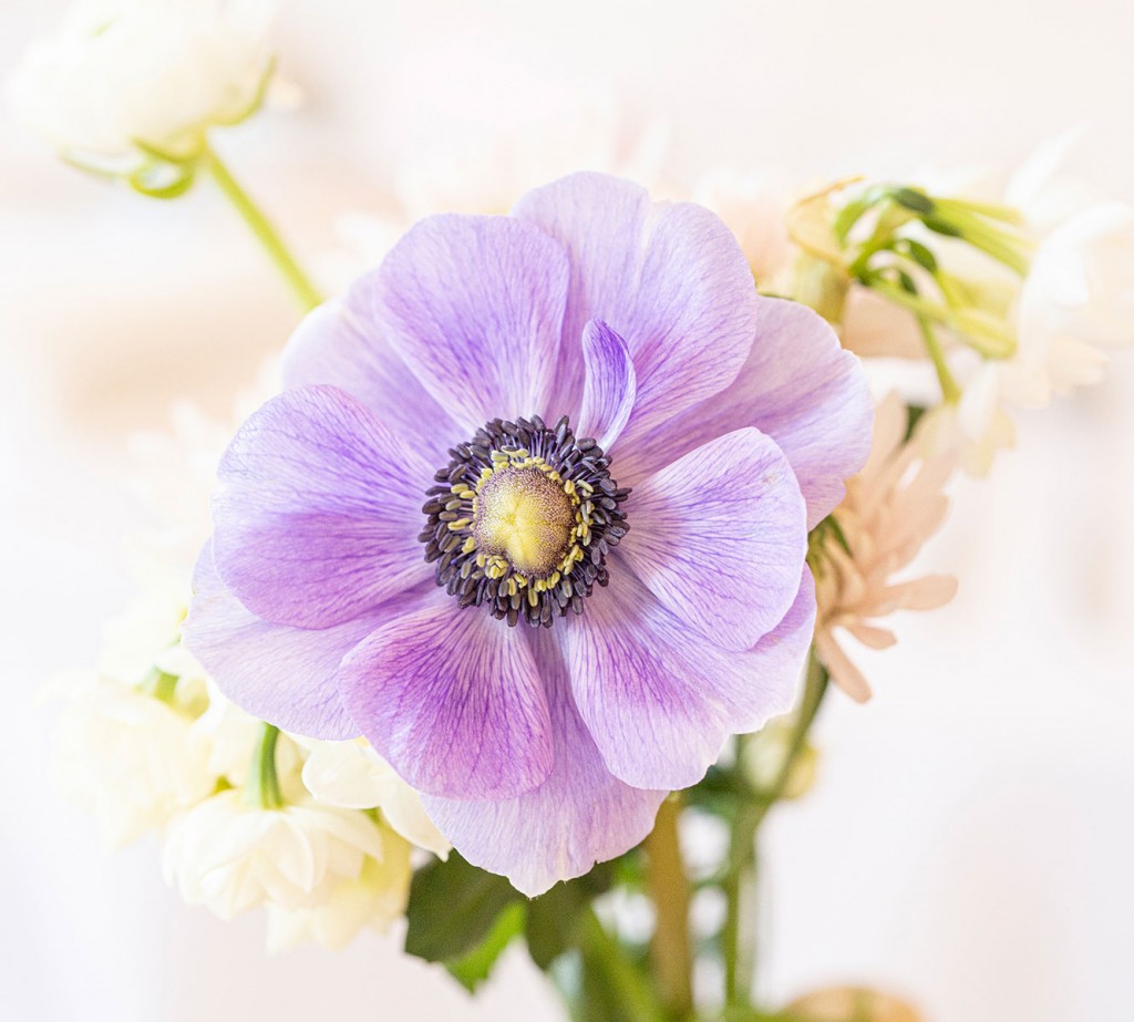 Eastington Park Wedding Photographer Nikki Kirk