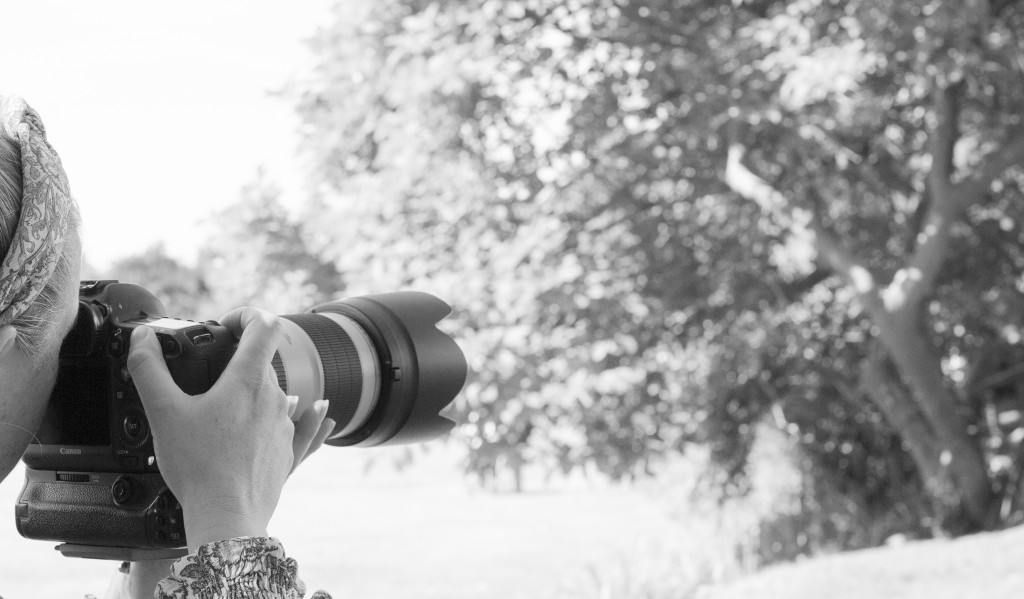 Gloucestershire and Cotswolds Wedding Photography