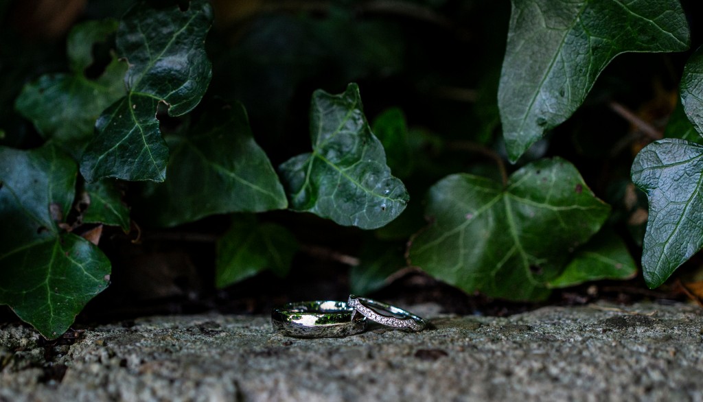 wedding rings against ivy